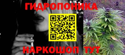 спайс Ачхой-Мартан