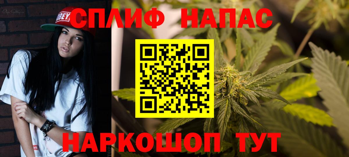 Бошки Шишки план  Вход с VPN  Марихуана THC 21%  Марихуана семена  Дзержинск  Бошки марихуана ГИДРОПОН 